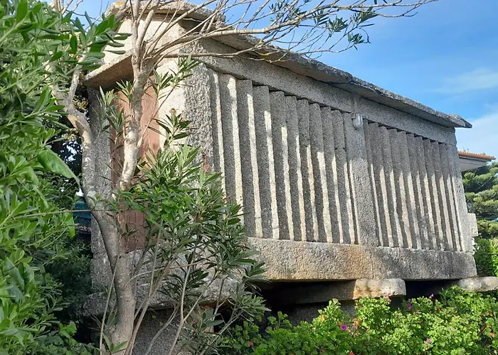 La Cruz Del Sur - \