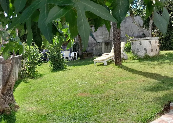La Cruz Del Sur - \