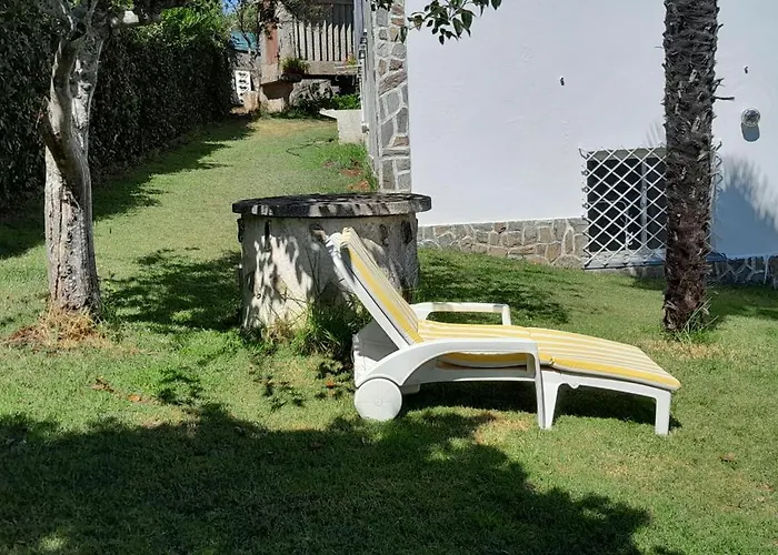 La Cruz Del Sur - \